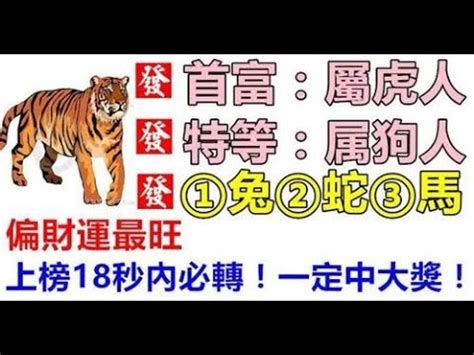 偏財上門|12生肖偏財運大公開！財神爺來報到…「1生肖」自帶偏財超好命